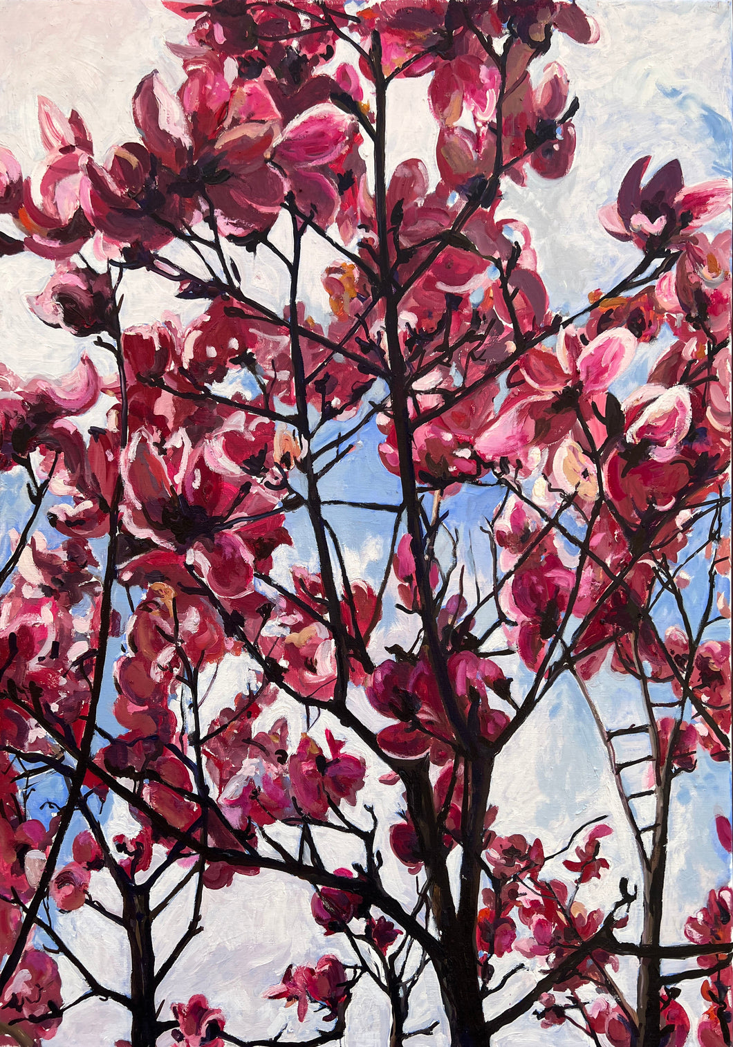 André Van Schuylenbergh, Magnolia's 10