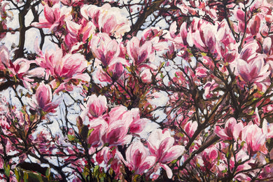 André Van Schuylenbergh, Magnolia's 13