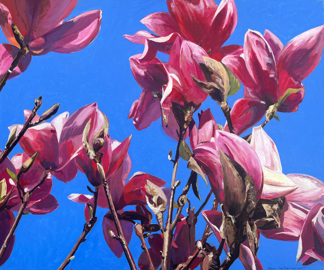 André Van Schuylenbergh, Magnolia's 14