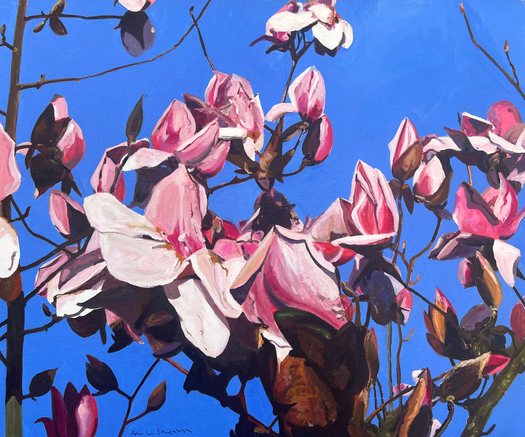 André Van Schuylenbergh, Magnolia's 16