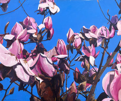 André Van Schuylenbergh, Magnolia's 17