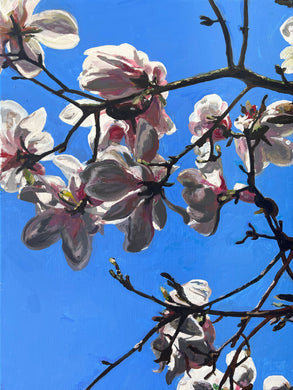 André Van Schuylenbergh, Magnolia's 18