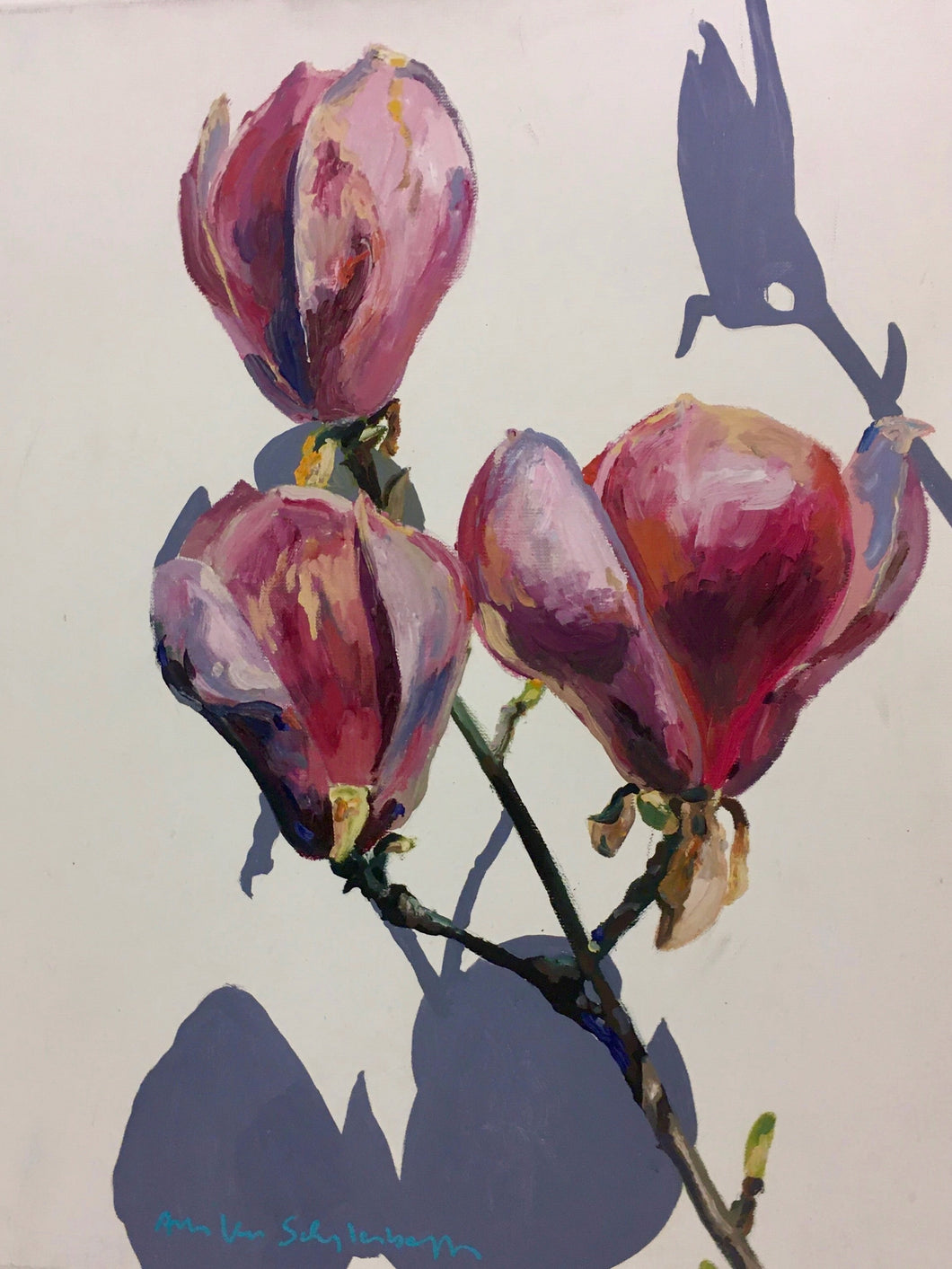 André Van Schuylenbergh, Magnolia's 19