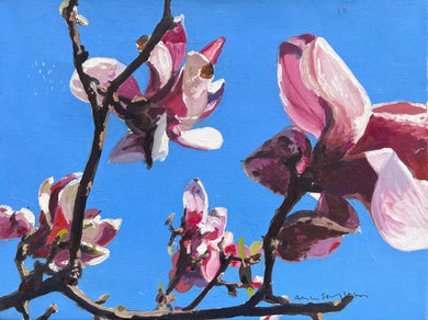 André Van Schuylenbergh, Magnolia's 1
