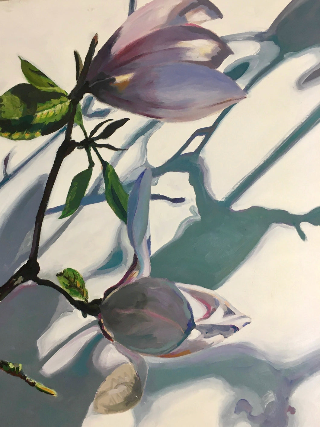 André Van Schuylenbergh, Magnolia's 22