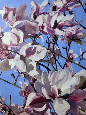 André Van Schuylenbergh, Magnolia's 23