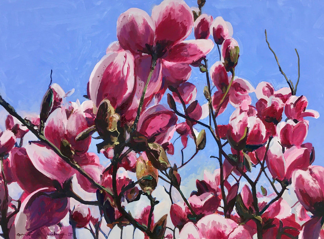 André Van Schuylenbergh, Magnolia's 24