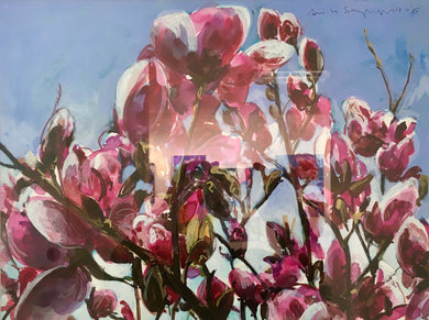 André Van Schuylenbergh, Magnolia's 26