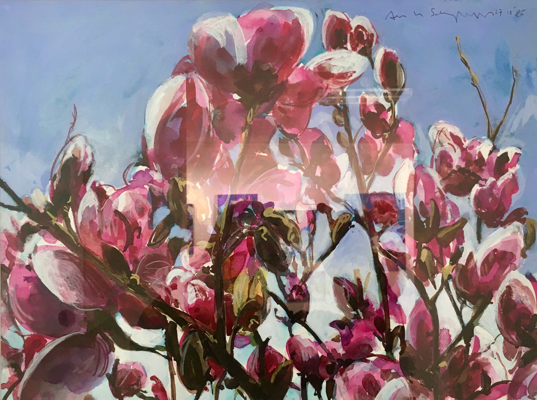 André Van Schuylenbergh, Magnolia's 26