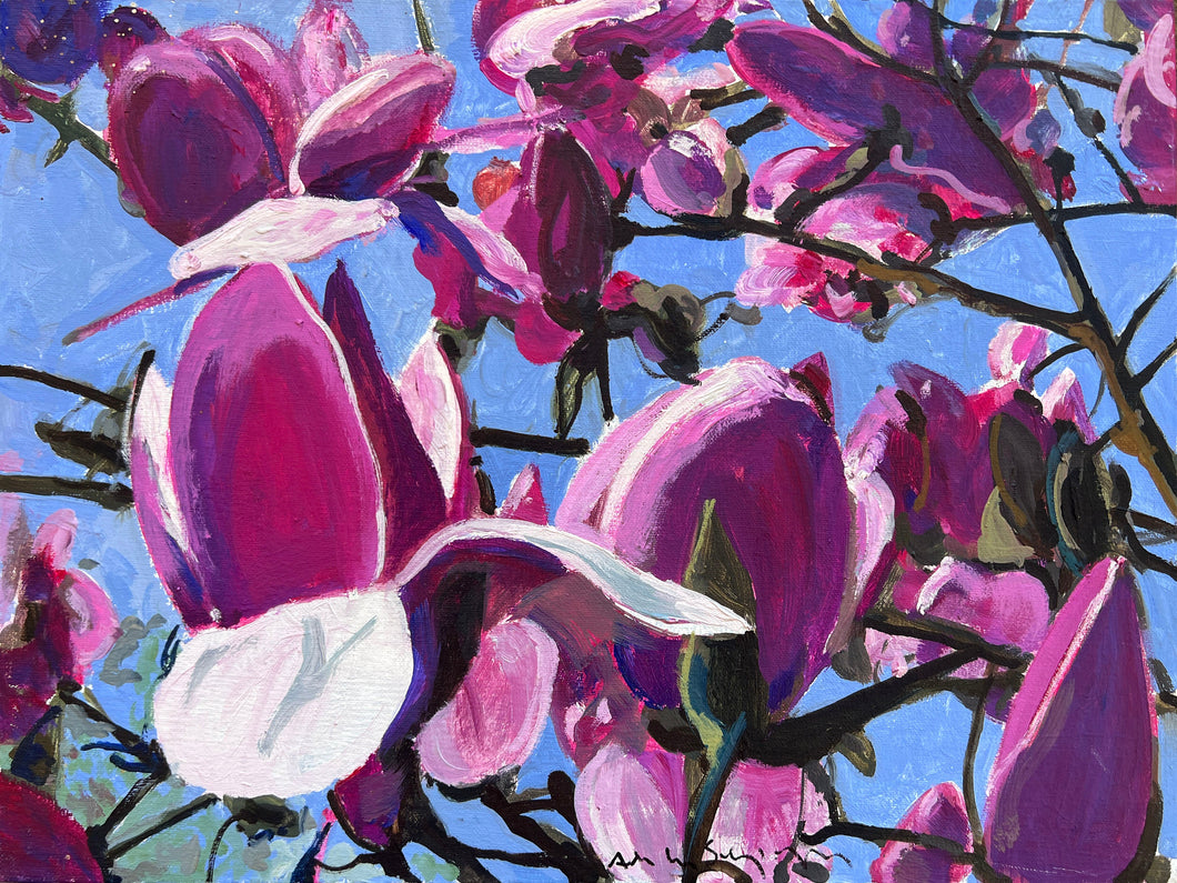 André Van Schuylenbergh, Magnolia's 2