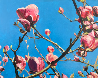 André Van Schuylenbergh, Magnolia's 4