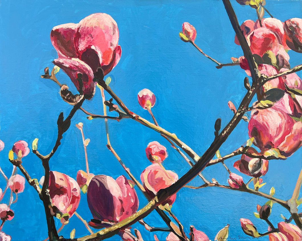 André Van Schuylenbergh, Magnolia's 4