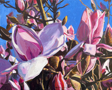 André Van Schuylenbergh, Magnolia's 5