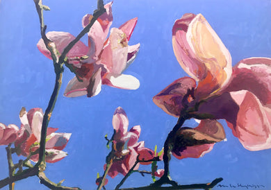 André Van Schuylenbergh, Magnolia's 6