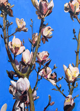 André Van Schuylenbergh, Magnolia's 8