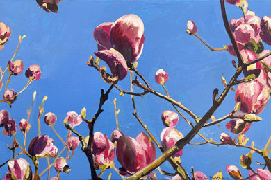 André Van Schuylenbergh, Magnolia's 9