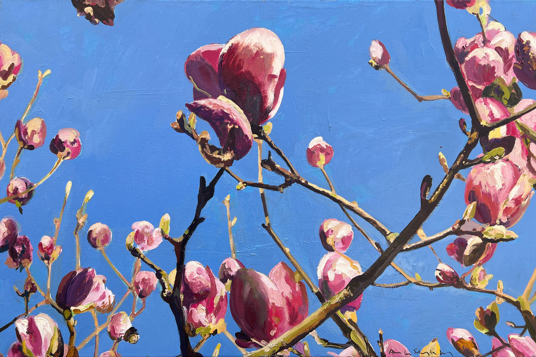 André Van Schuylenbergh, Magnolia's 9