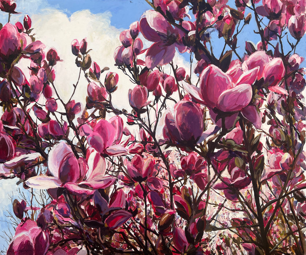 André Van Schuylenbergh, Magnolia's-SOON