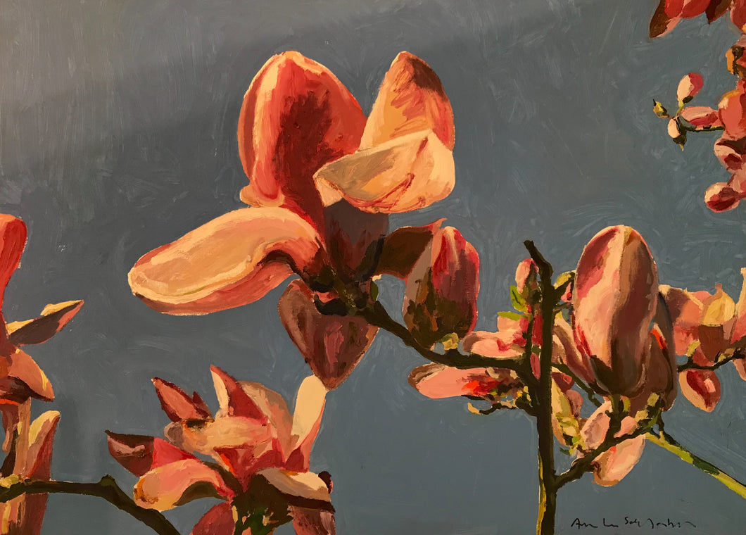 André Van Schuylenbergh, Magnolia's 20