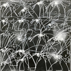 Stan Slabbinck, firefly
